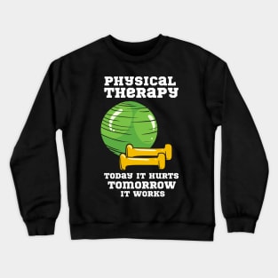Physical Therapy, Physical Therapist Crewneck Sweatshirt